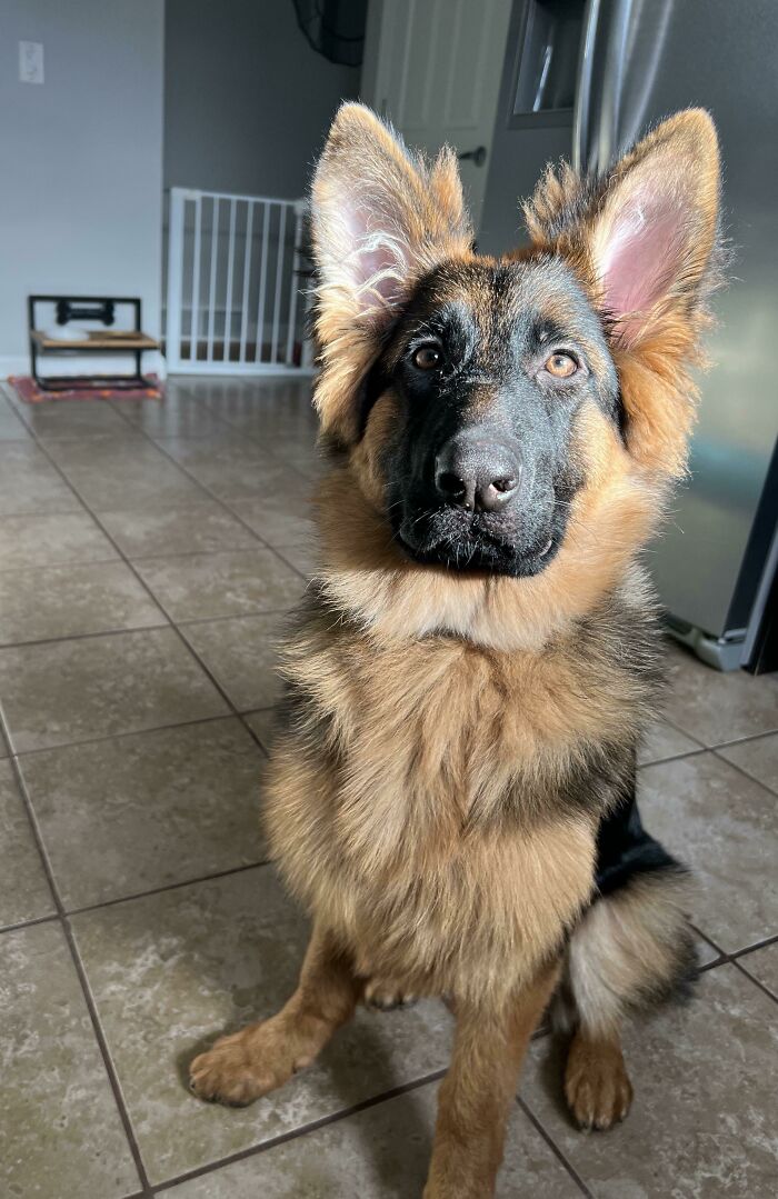 Gemma Wants To Join The Crew