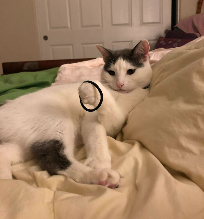 I Have Been Presented With A Gift