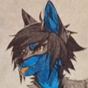 andrepoljakov-roberge avatar