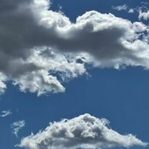 sylviaross141 avatar