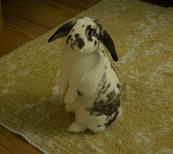 Airplane Ears While Standing Up