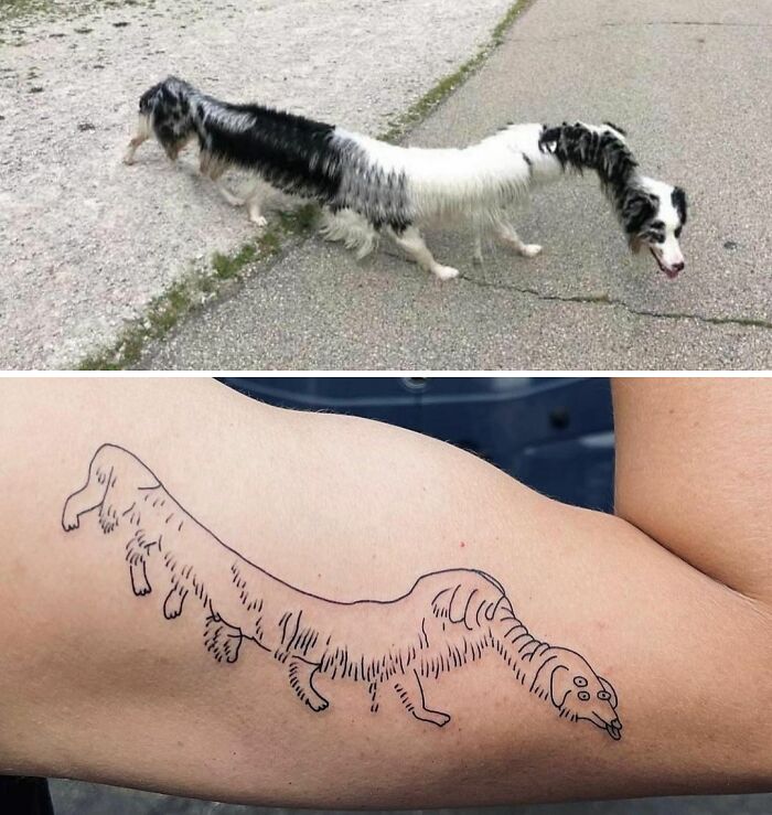 Illustration of a dog with elongated body tattooed on an arm; example of horrible tattoos shared online.