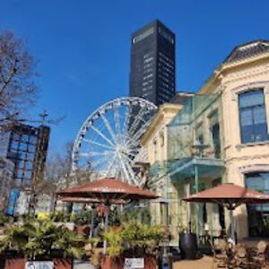 winnievanamstel avatar