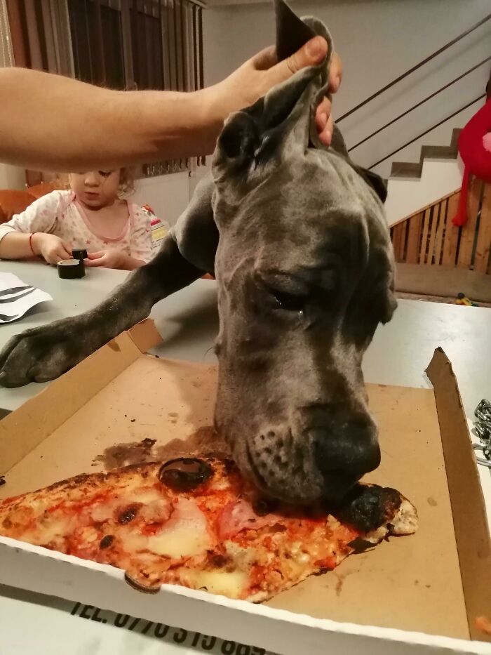 Pizza With Happy Ending