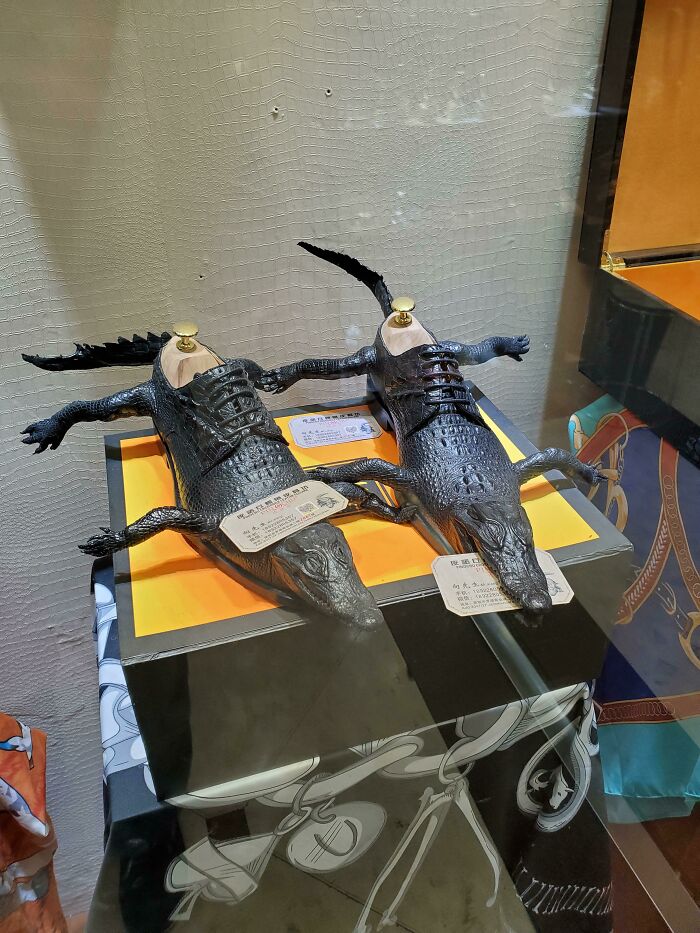 Crocodile Leather Shoes