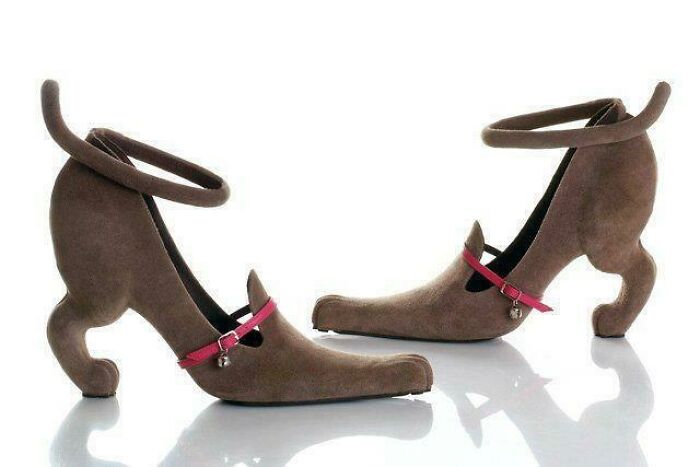 I Looked Up “Dachshund In Shoes” And Got This