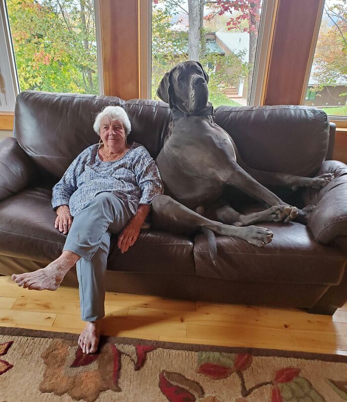 Grandma And Great Grandson