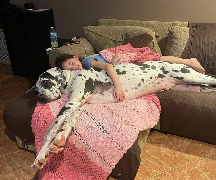 My Big Sister Is So Nice To Let Me Be The Little Spoon