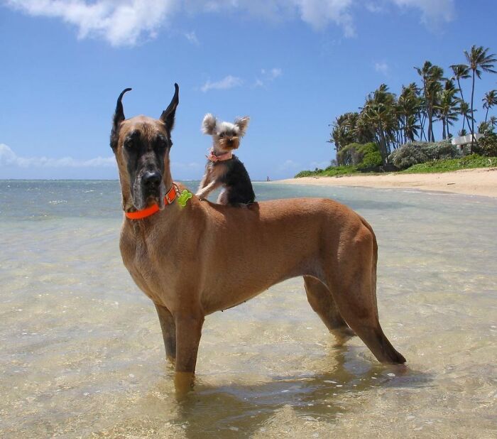 Ok, I’m Ready To Dock