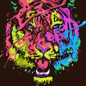 thegreyoneedwards avatar