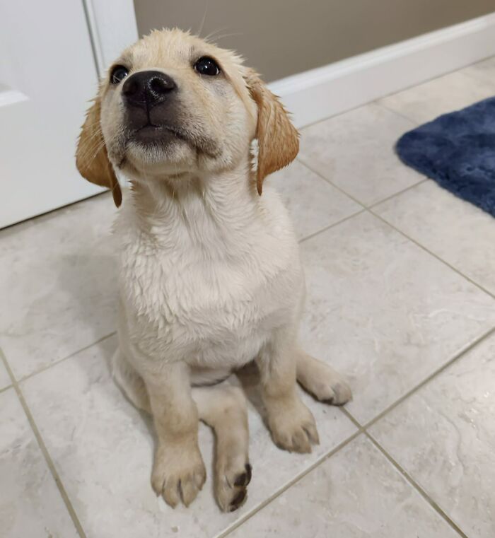 Her First Fearless Bath Left Her Proud And Warm