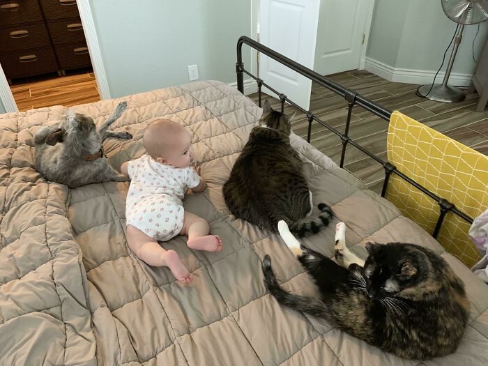 Our Baby Sitters Utilizing The Surround And Protect Strategy