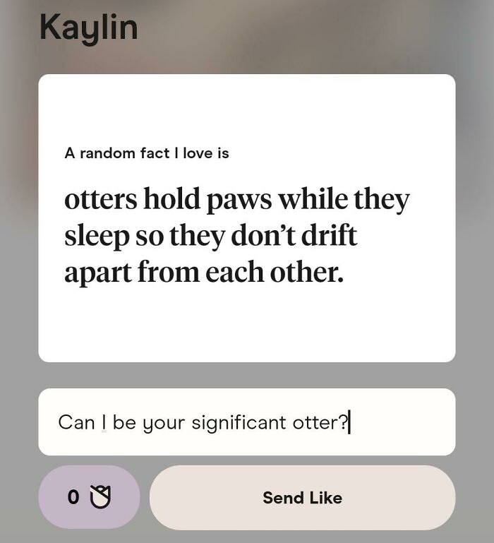 Probably Won't Get A Response, But I Love My Clever Responses