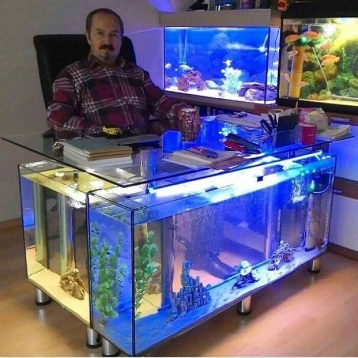 Fish Tank Desk
