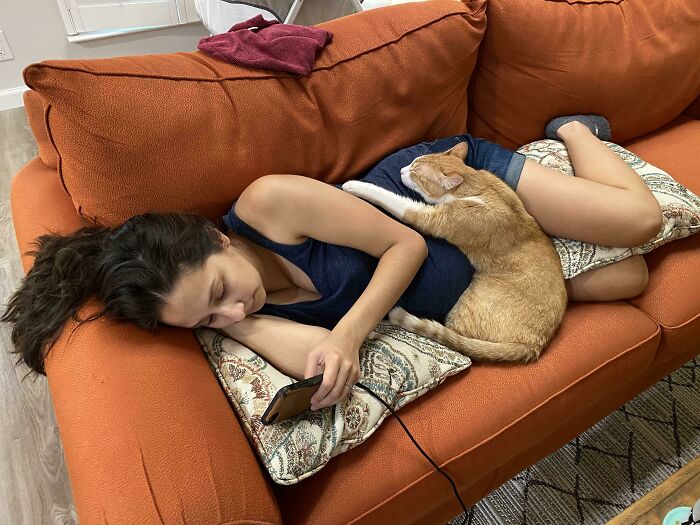 My Wife Is Three Weeks Away From Her Due Date And Our Cats Love Snuggling Her Belly