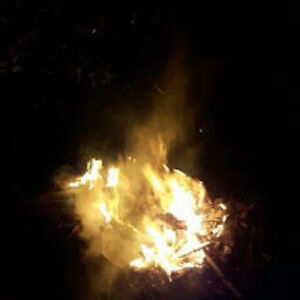 blissbouwerij avatar