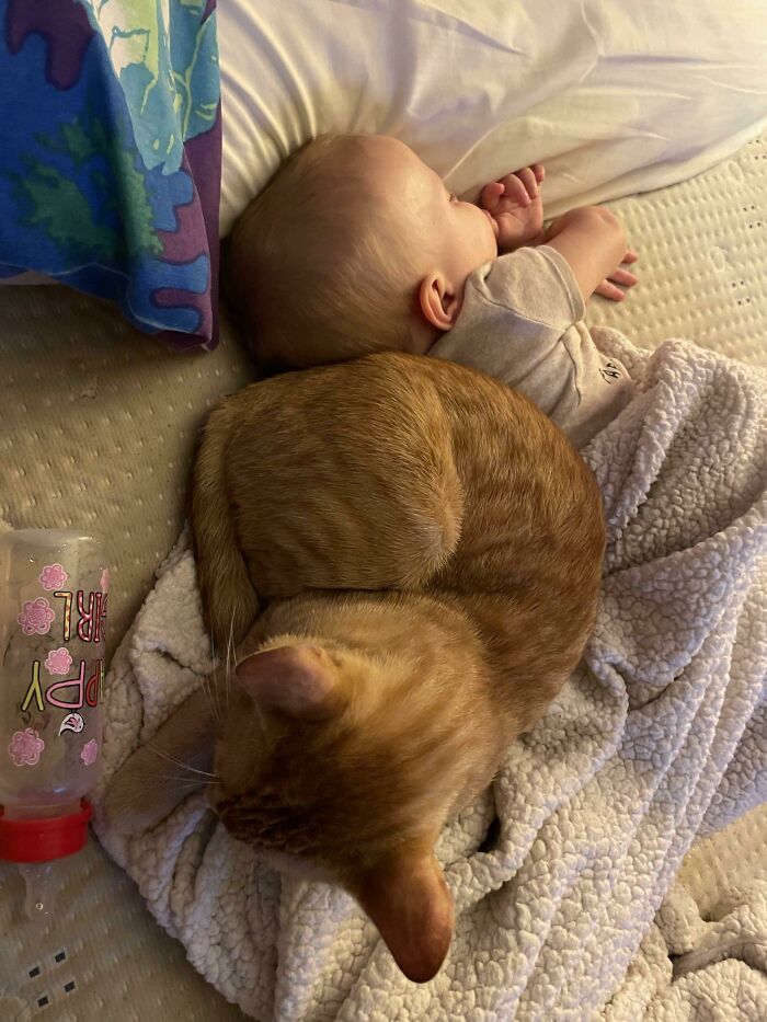 Mr. Weasley, Sitter Of Children