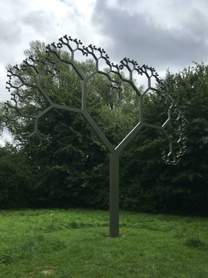 Look At This Beautiful Tree. Nature Has Really Outdone Itself