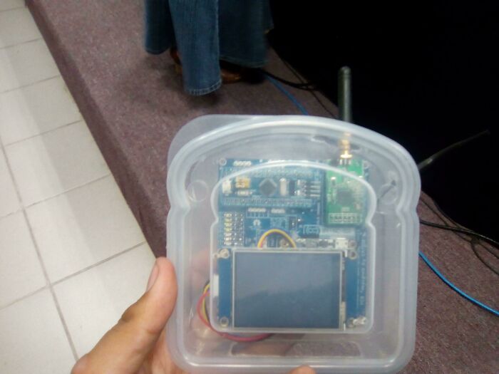 Rate My Human Son's Lunch