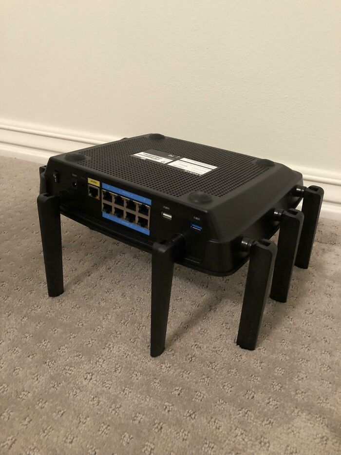 Need To Burn Down The New House, Found A Heckin, Big Spider Bro