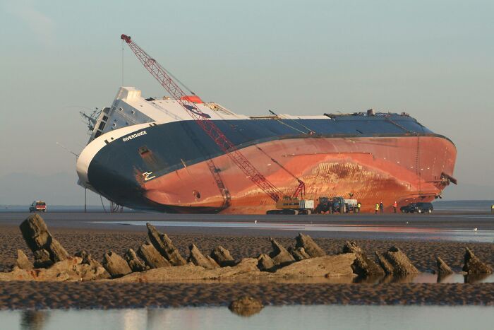 This Poor Whale Has Beached Itself