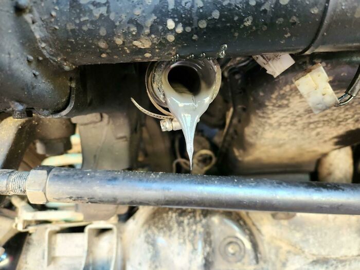 C/S They Changed The Head Gasket Themselves. 100km Later This Is The Coolant. Customer Is Me