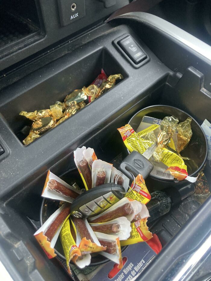 These Honesty Tests Are Getting Out Of Hand