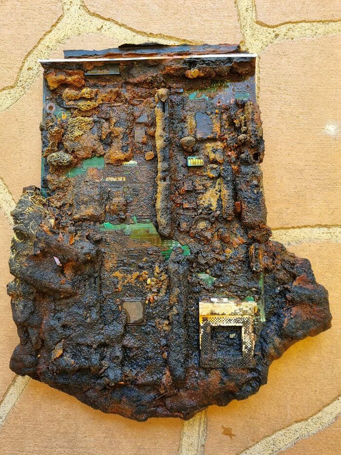 He probado a ponerlo en arroz pero no ha servido de nada. ¿Alguna idea?