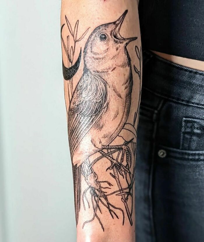 Nature tattoo of a detailed bird on forearm, symbolizing the human-earth bond.