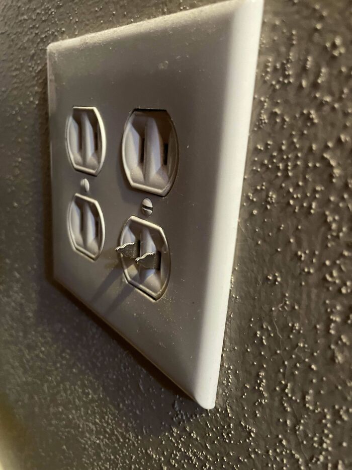 Roomies Somehow Managed To Break This Off