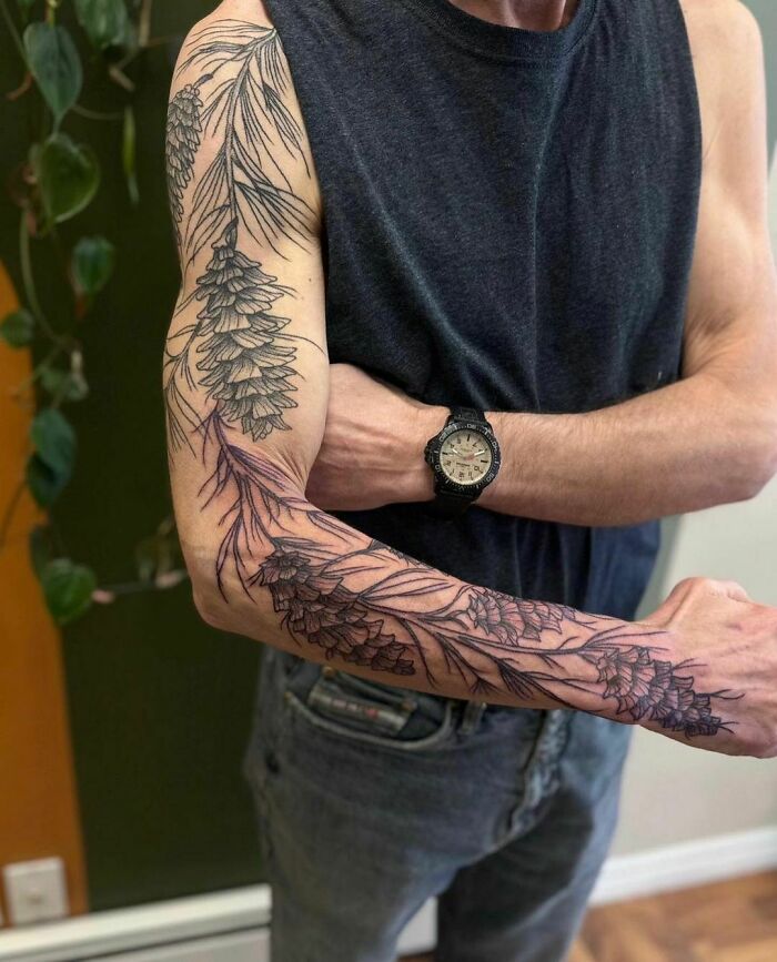 Nature tattoo featuring pine branches and cones on a man's arm, symbolizing the human-earth bond.