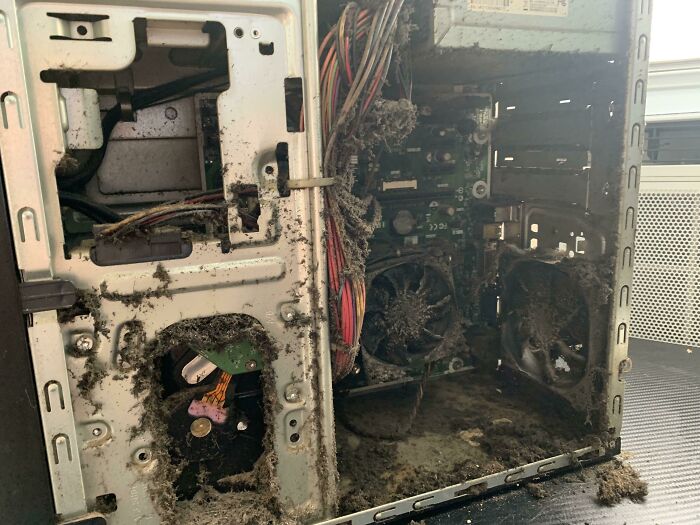 Mi madre no ha limpiado su ordenador desde el día que lo compró, y lo compró hace 6 años