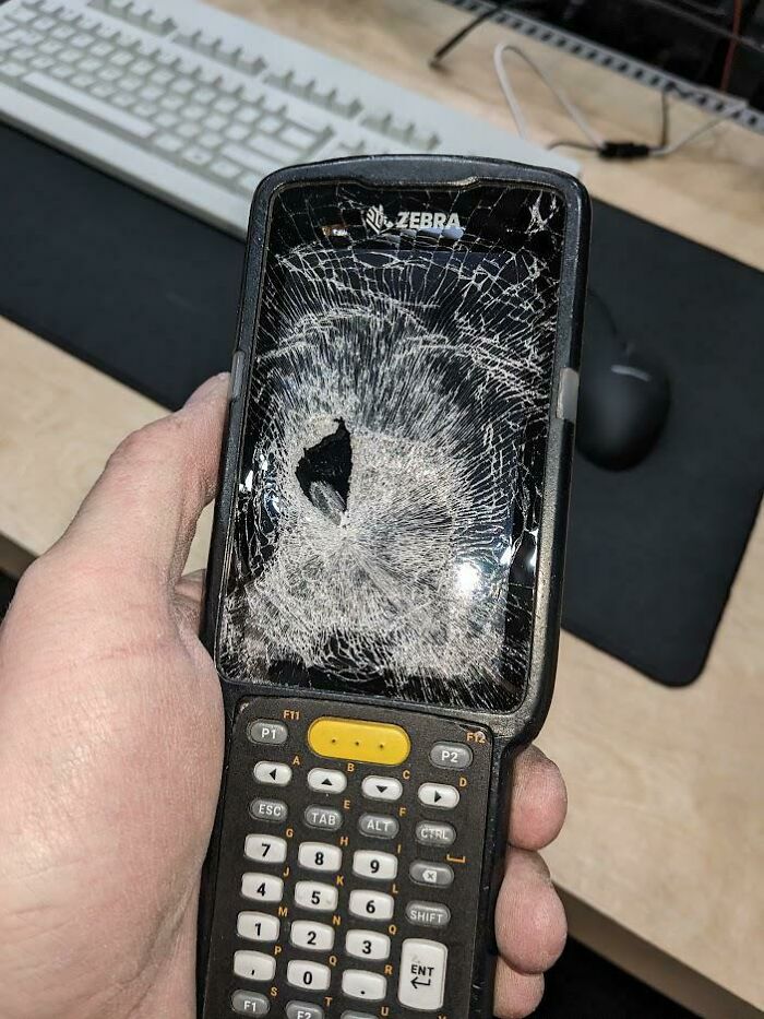 Serious Question: When Do You Guys Start Disciplining People For Damaging Company Property?