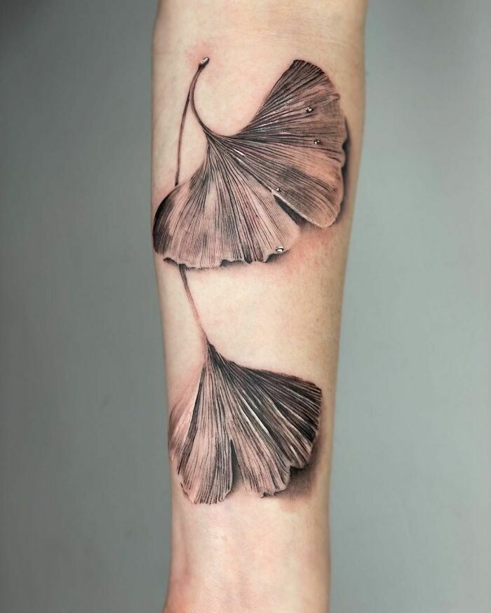 Nature tattoo featuring two detailed ginkgo leaves on a forearm, showcasing the beauty of Mother Earth.