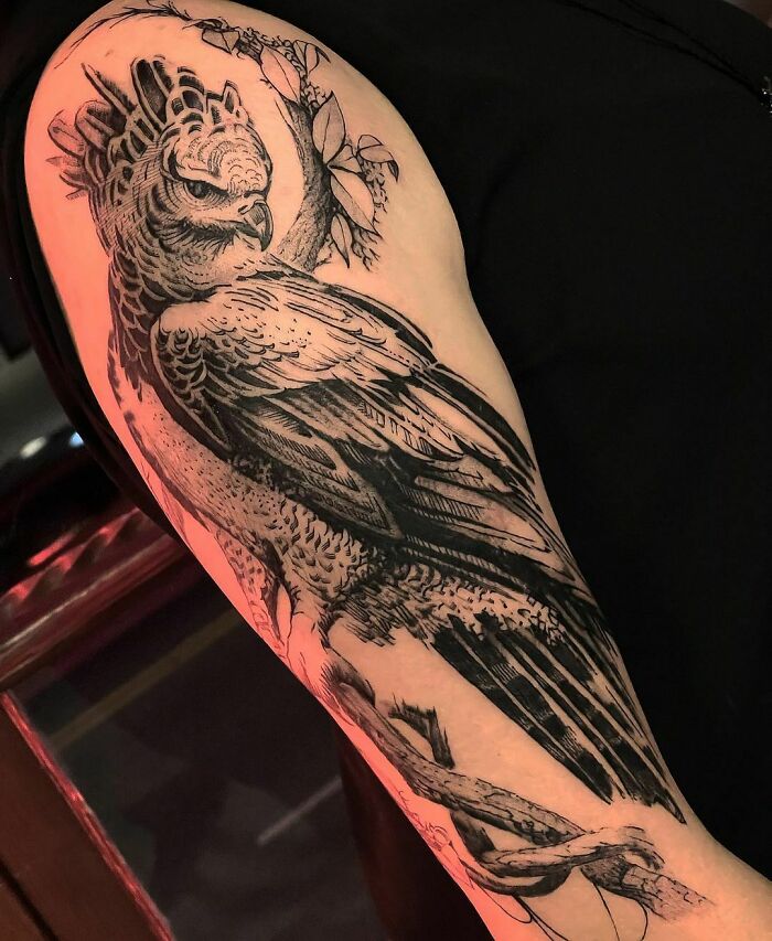 Nature tattoo featuring a detailed black ink bird design on an arm, highlighting the beauty of wildlife art.