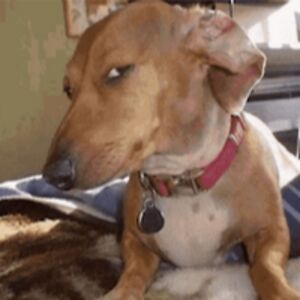 landrycopeland avatar