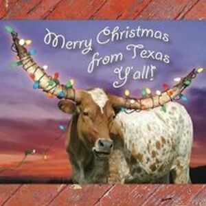 steelpony5555 avatar