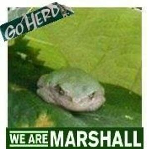 billandsusanlinden avatar