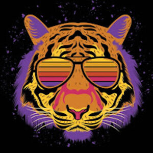 waladinbenghrib avatar