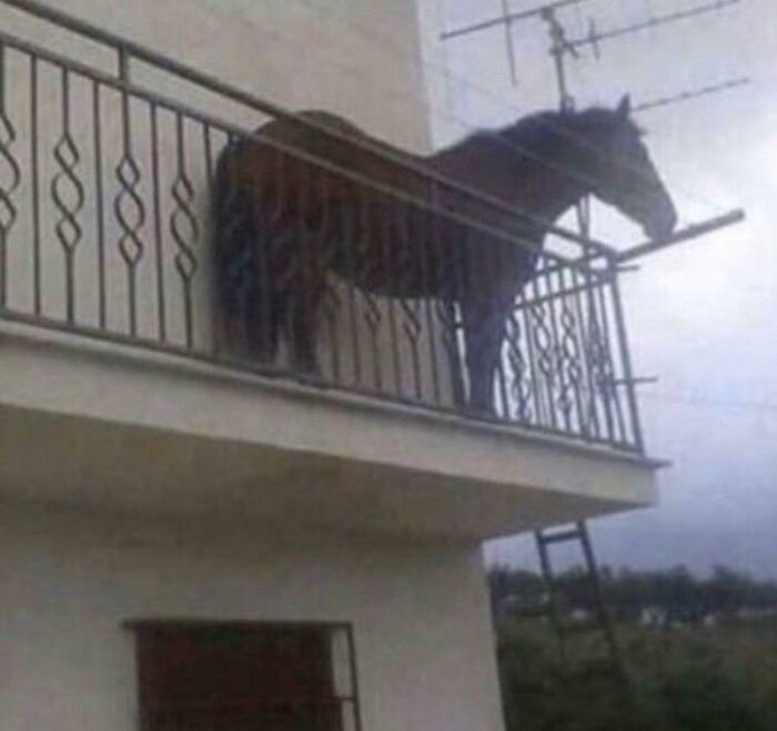 Cursed_balcony