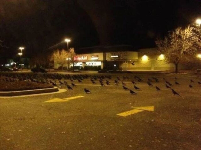 Cursed_invasion