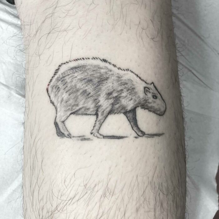 Nature tattoo featuring a detailed capybara design on a person's skin, embracing human-earth bond.