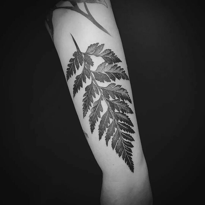 Leaf tattoo on forearm representing nature bond.