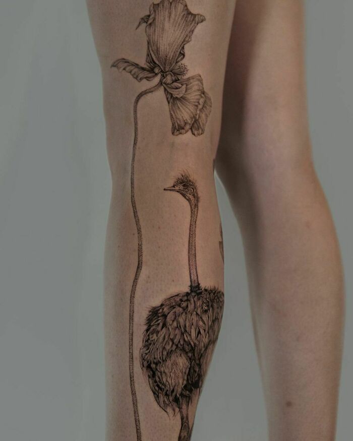 Nature tattoo of an ostrich blending into a flower on a person's leg.
