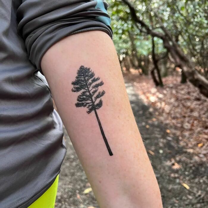 Forearm with a detailed tree nature tattoo in a forest setting, embodying a wild side.