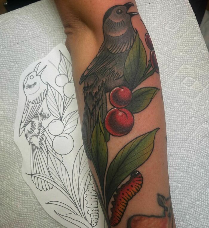 Tattoo of a bird with cherries and leaves on an arm, beside a sketch, highlighting nature tattoo artistry.