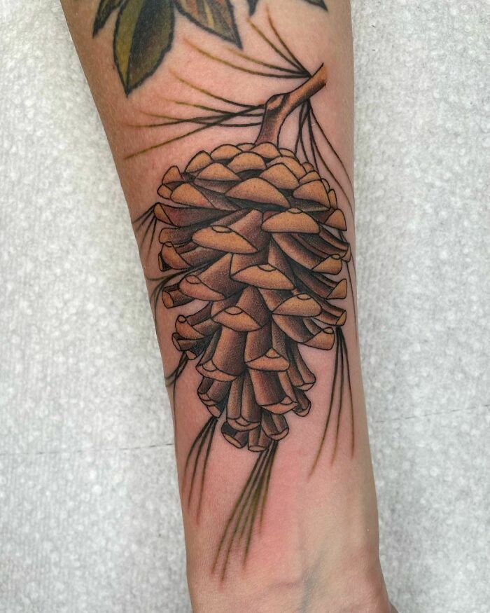 Nature tattoo of a detailed pine cone on a forearm, showcasing intricate designs inspired by Mother Earth.