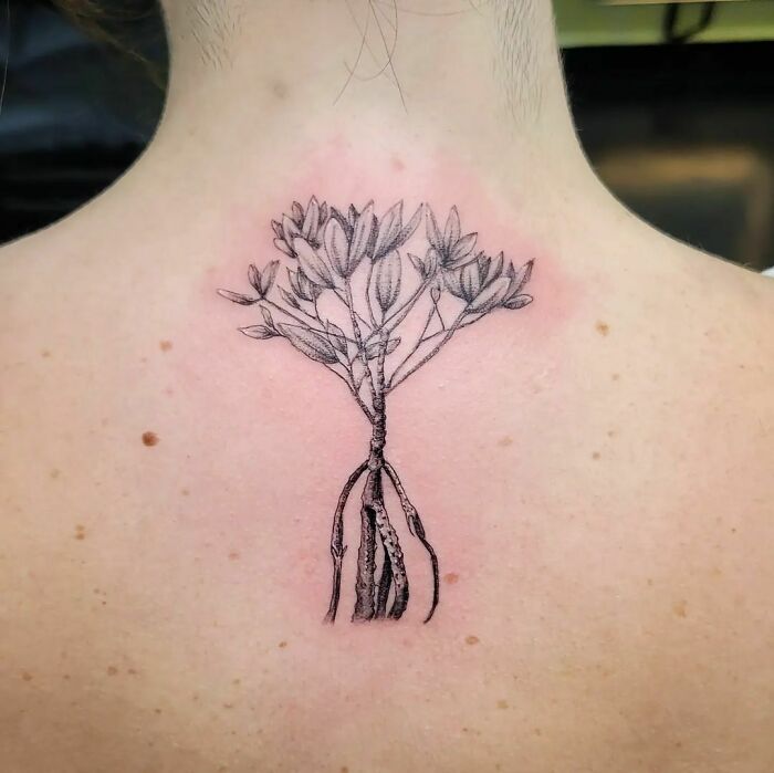 Nature tattoos: Detailed tree design inked on the upper back.