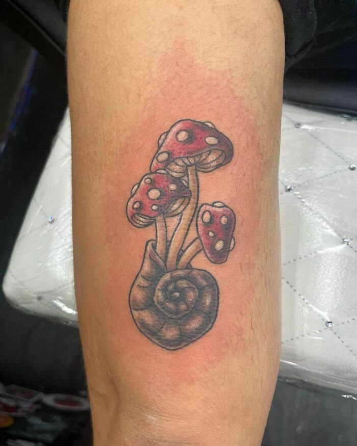 Nature tattoo featuring red mushrooms with a snail shell base on forearm.