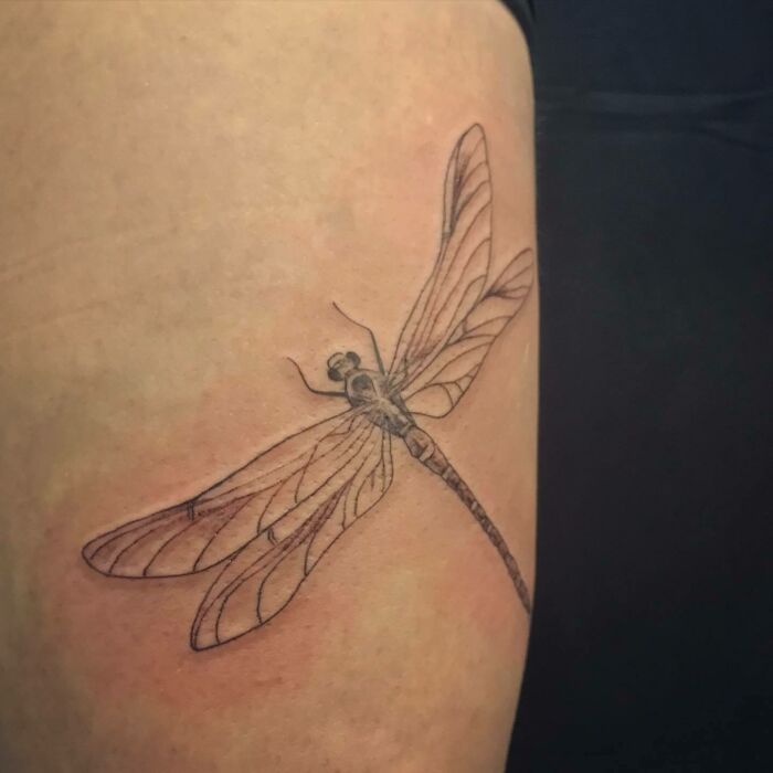 Dragonfly tattoo on arm, symbolizing the nature bond and celebrating human-earth connection.